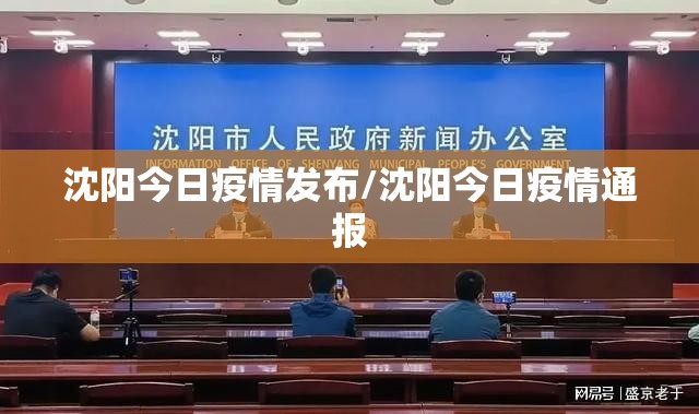 沈阳今日疫情发布/沈阳今日疫情通报