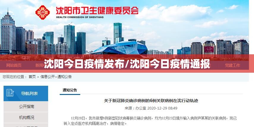 沈阳今日疫情发布/沈阳今日疫情通报