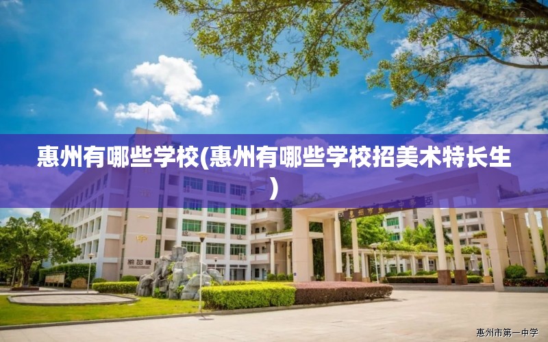 惠州有哪些学校(惠州有哪些学校招美术特长生)