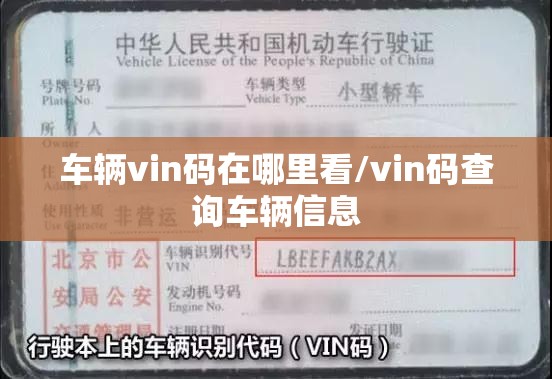 车辆vin码在哪里看/vin码查询车辆信息