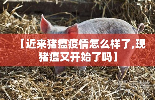 【近来猪瘟疫情怎么样了,现猪瘟又开始了吗】 【近来猪瘟疫情怎么样了,现猪瘟又开始了吗】
