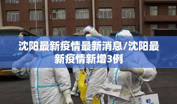 沈阳最新疫情最新消息/沈阳最新疫情新增3例 沈阳最新疫情最新消息/沈阳最新疫情新增3例