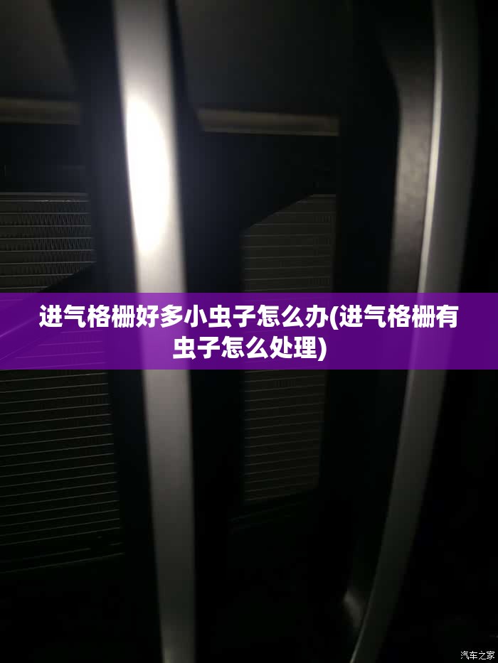 进气格栅好多小虫子怎么办(进气格栅有虫子怎么处理) 进气格栅好多小虫子怎么办(进气格栅有虫子怎么处理)