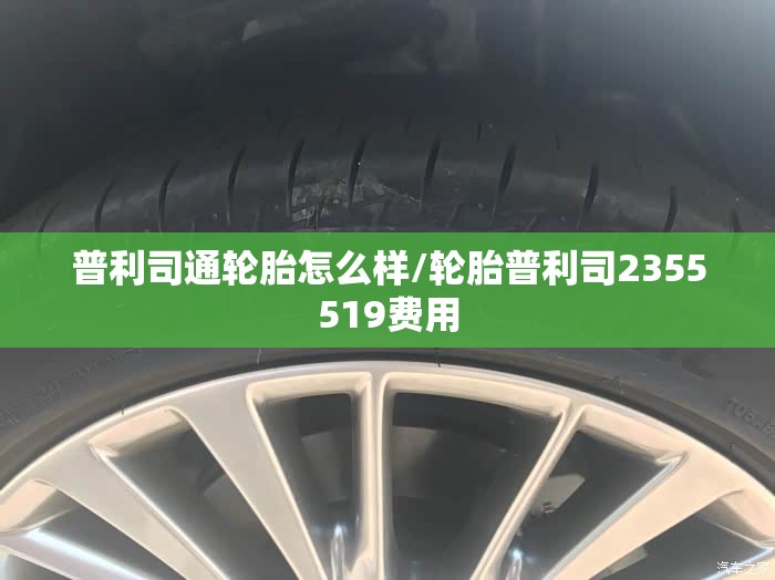 普利司通轮胎怎么样/轮胎普利司2355519费用