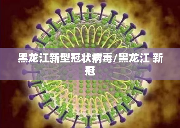 黑龙江新型冠状病毒/黑龙江 新冠 黑龙江新型冠状病毒/黑龙江 新冠