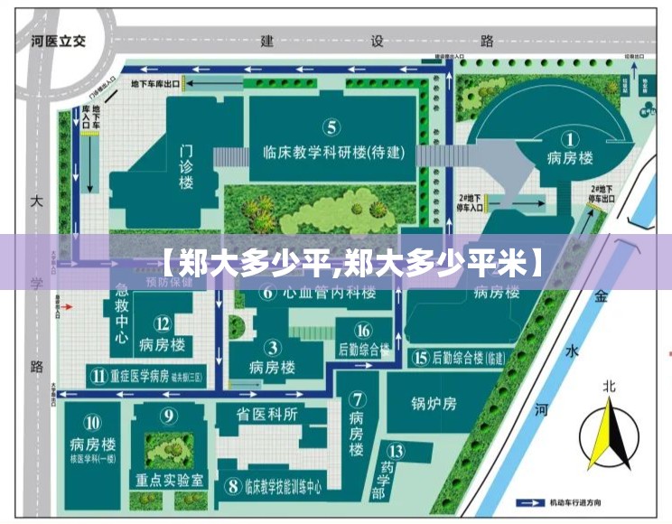 【郑大多少平,郑大多少平米】 【郑大多少平,郑大多少平米】