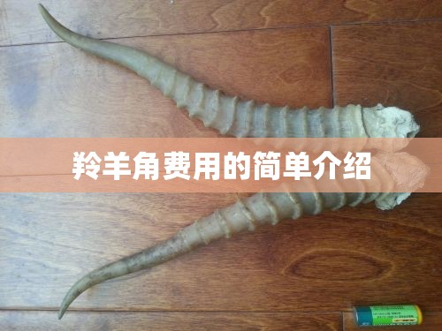 羚羊角费用的简单介绍 羚羊角费用的简单介绍