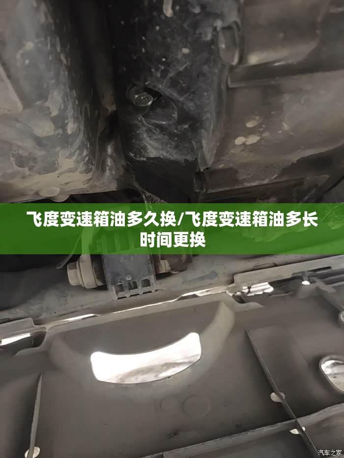 飞度变速箱油多久换/飞度变速箱油多长时间更换