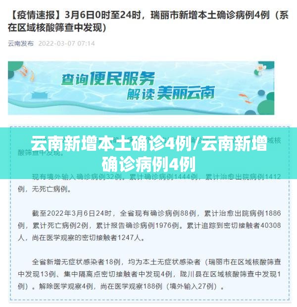 云南新增本土确诊4例/云南新增确诊病例4例