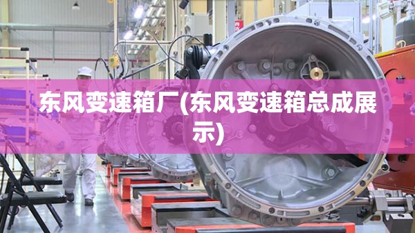 东风变速箱厂(东风变速箱总成展示) 东风变速箱厂(东风变速箱总成展示)