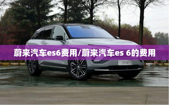 蔚来汽车es6费用/蔚来汽车es 6的费用