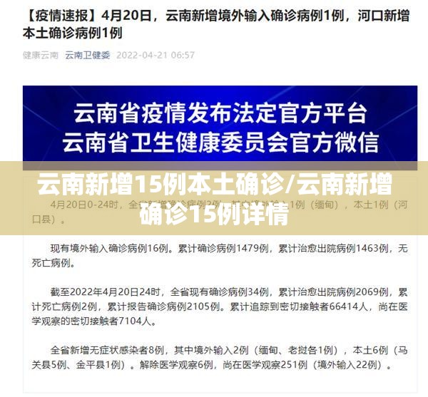 云南新增15例本土确诊/云南新增确诊15例详情