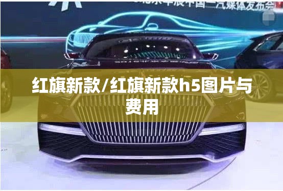 红旗新款/红旗新款h5图片与费用