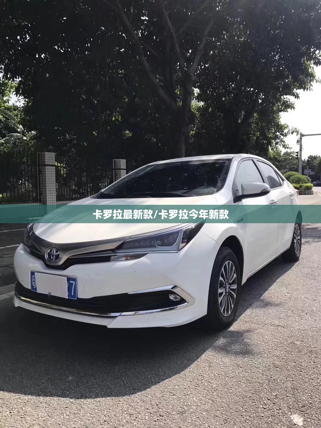 卡罗拉最新款/卡罗拉今年新款