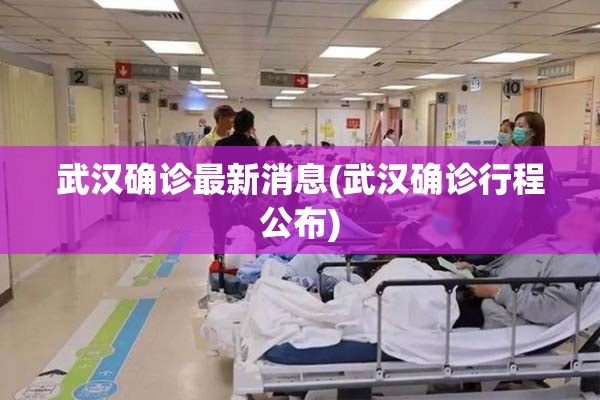 武汉确诊最新消息(武汉确诊行程公布) 武汉确诊最新消息(武汉确诊行程公布)