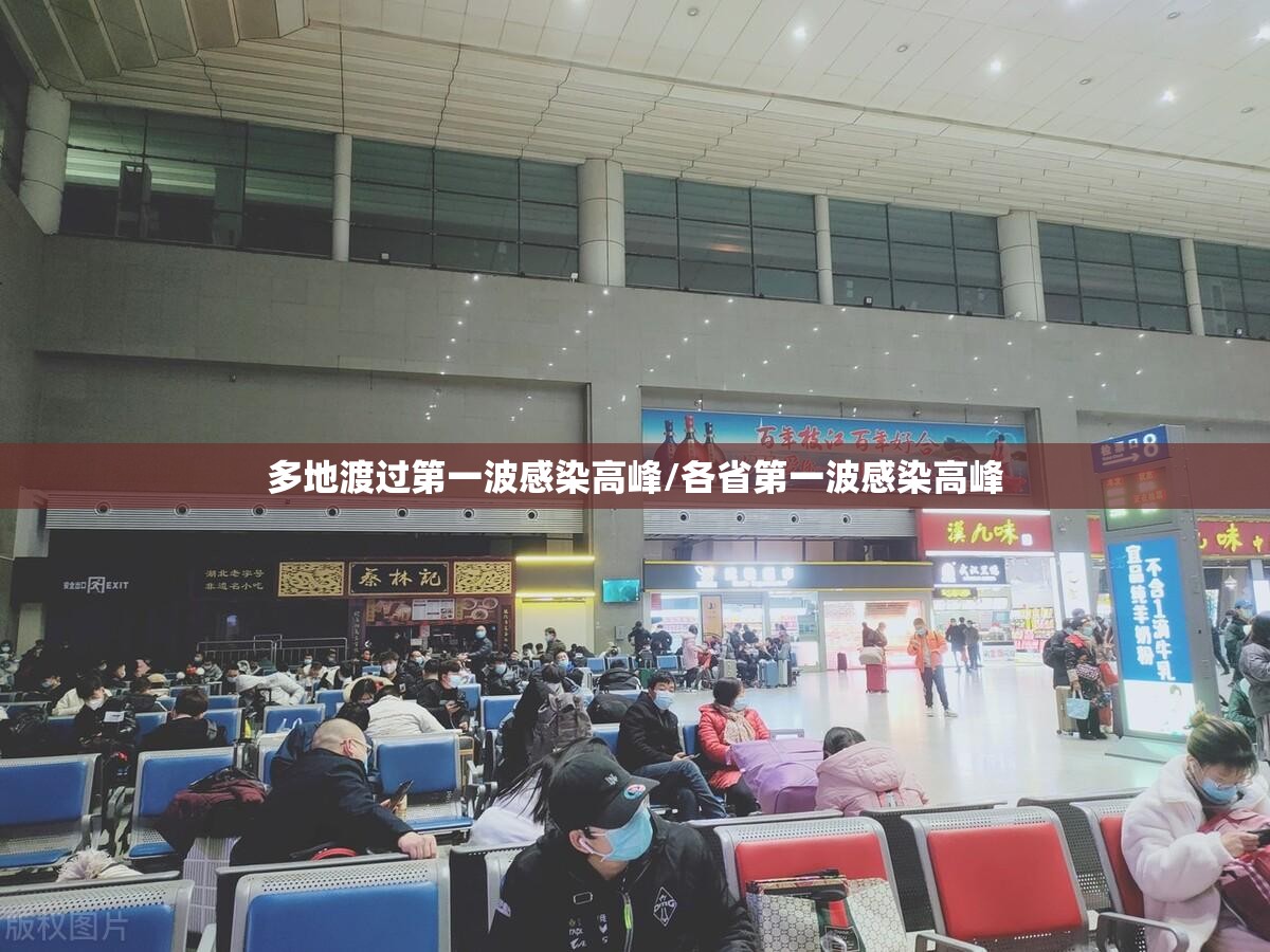 多地渡过第一波感染高峰/各省第一波感染高峰 多地渡过第一波感染高峰/各省第一波感染高峰