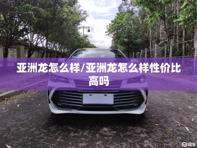 亚洲龙怎么样/亚洲龙怎么样性价比高吗 亚洲龙怎么样/亚洲龙怎么样性价比高吗