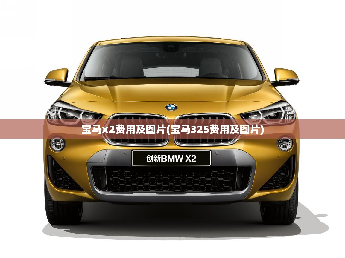 宝马x2费用及图片(宝马325费用及图片) 宝马x2费用及图片(宝马325费用及图片)