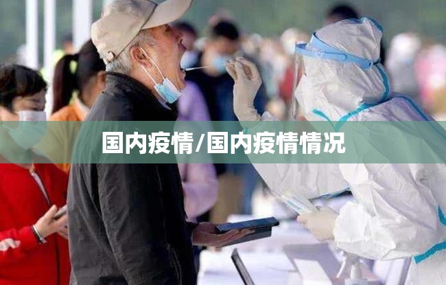国内疫情/国内疫情情况 国内疫情/国内疫情情况