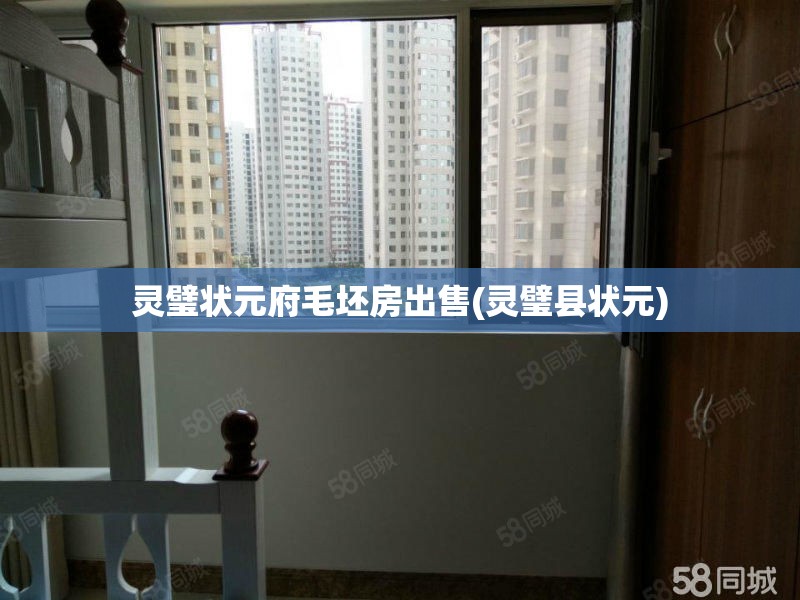 灵璧状元府毛坯房出售(灵璧县状元)