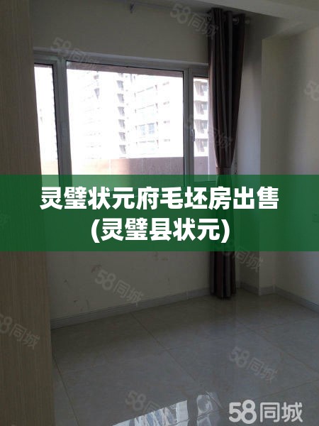 灵璧状元府毛坯房出售(灵璧县状元)