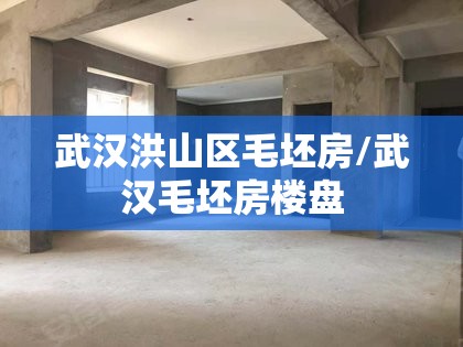 武汉洪山区毛坯房/武汉毛坯房楼盘 武汉洪山区毛坯房/武汉毛坯房楼盘