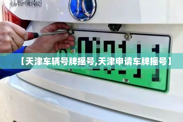 【天津车辆号牌摇号,天津申请车牌摇号】