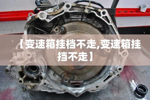 【变速箱挂档不走,变速箱挂挡不走】