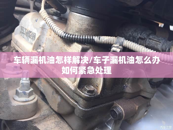 车辆漏机油怎样解决/车子漏机油怎么办如何紧急处理