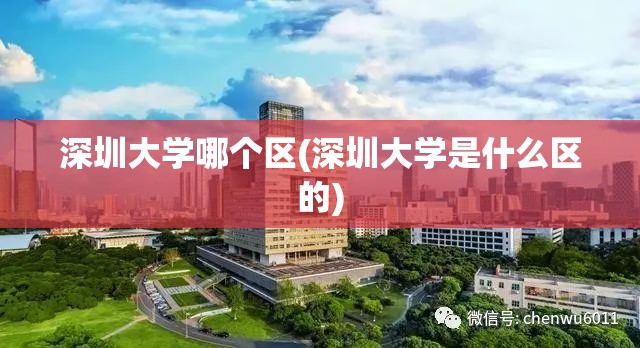 深圳大学哪个区(深圳大学是什么区的) 深圳大学哪个区(深圳大学是什么区的)