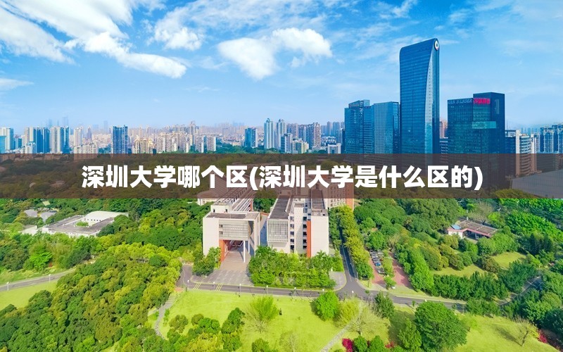 深圳大学哪个区(深圳大学是什么区的) 深圳大学哪个区(深圳大学是什么区的)