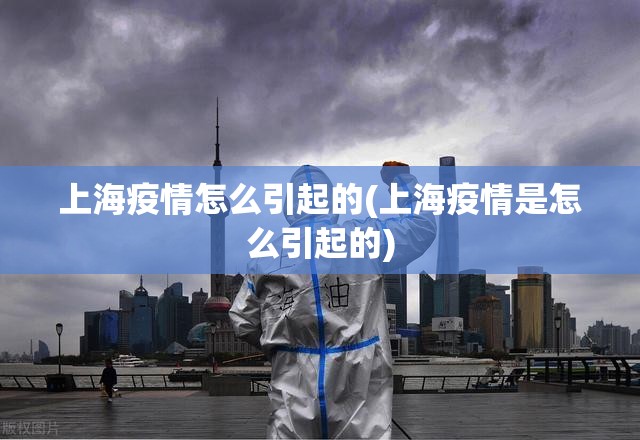 上海疫情怎么引起的(上海疫情是怎么引起的)