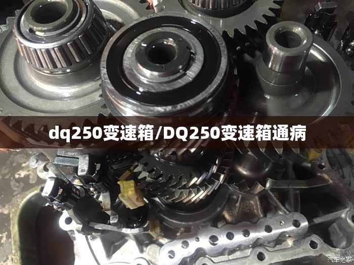 dq250变速箱/DQ250变速箱通病 dq250变速箱/DQ250变速箱通病