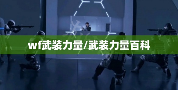 wf武装力量/武装力量百科
