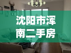 沈阳市浑南二手房精装修(沈阳浑南二手房价)