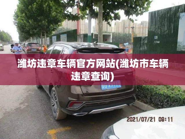 潍坊违章车辆官方网站(潍坊市车辆违章查询) 潍坊违章车辆官方网站(潍坊市车辆违章查询)