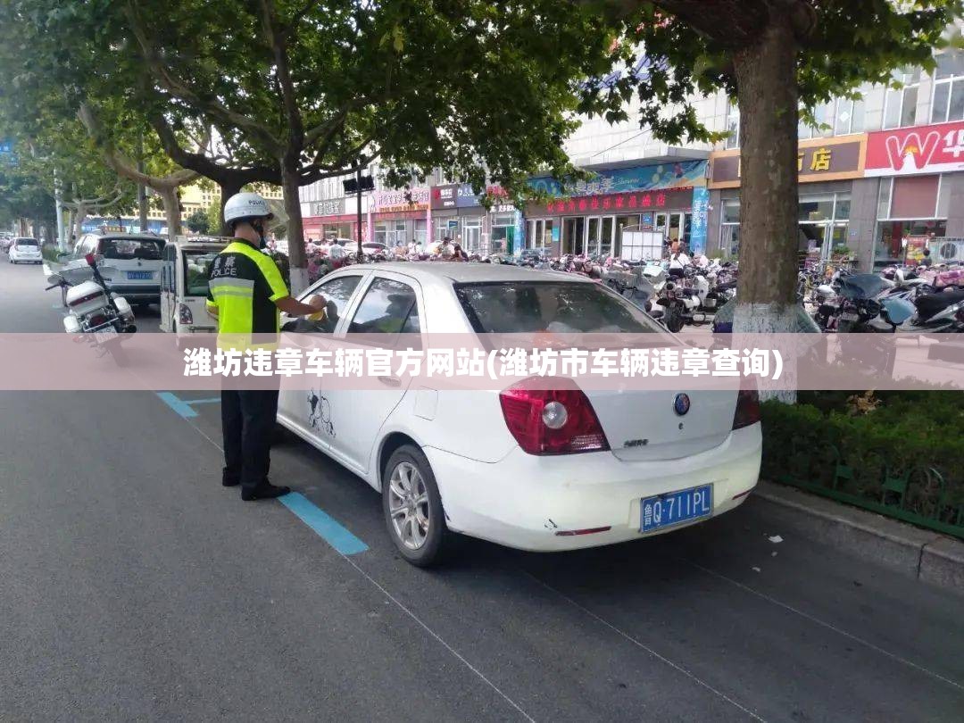 潍坊违章车辆官方网站(潍坊市车辆违章查询) 潍坊违章车辆官方网站(潍坊市车辆违章查询)
