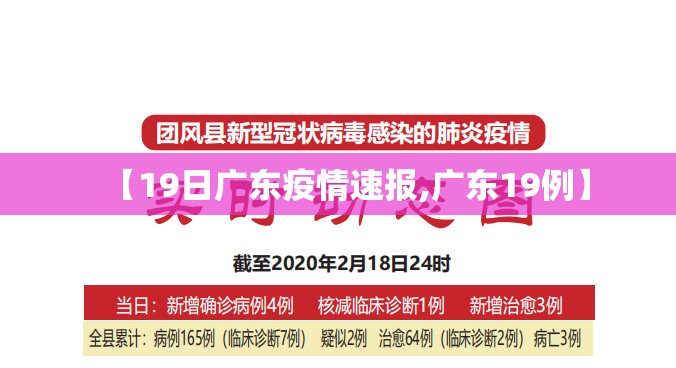 【19日广东疫情速报,广东19例】