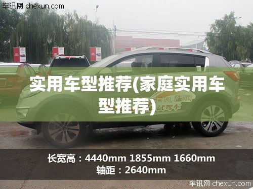 实用车型推荐(家庭实用车型推荐)