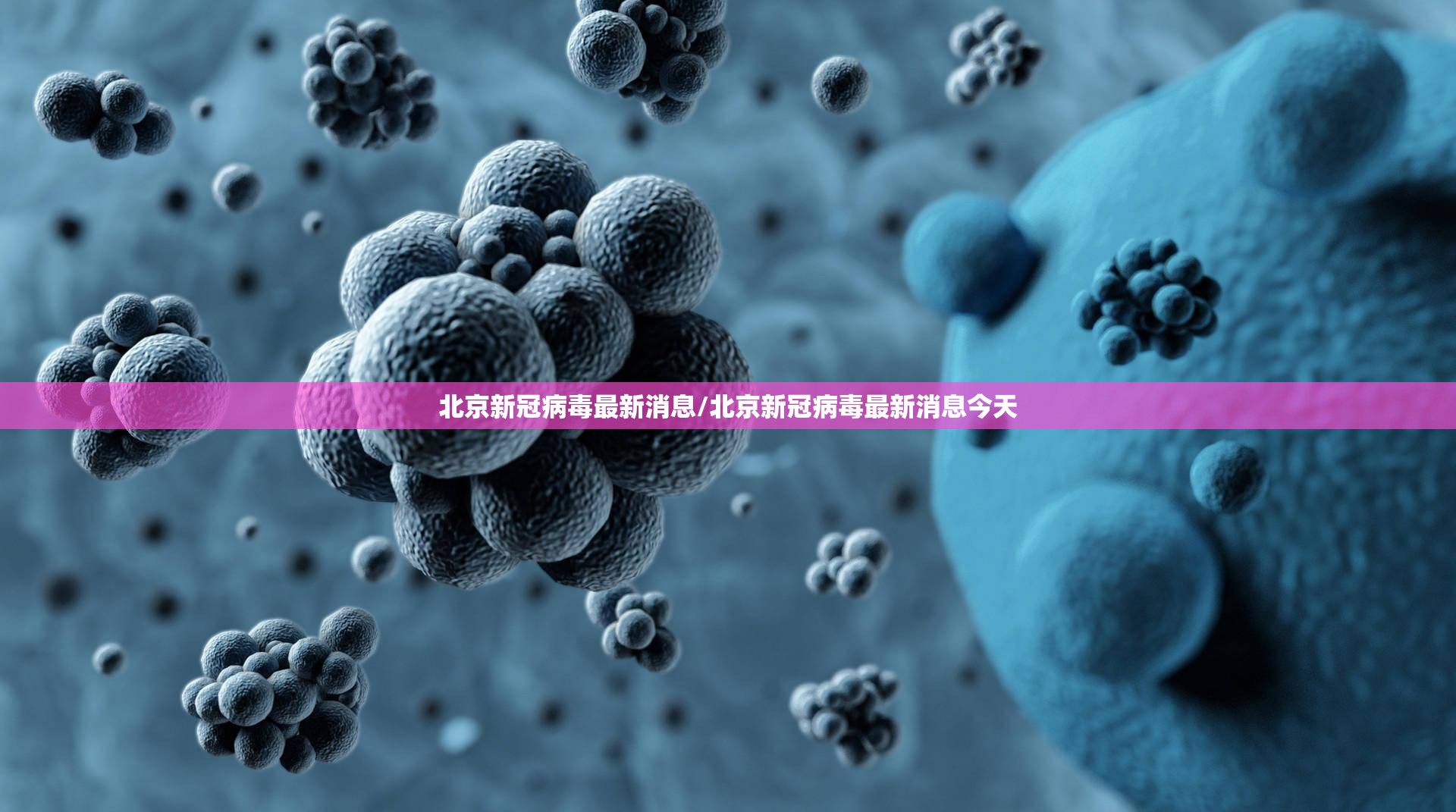 北京新冠病毒最新消息/北京新冠病毒最新消息今天 北京新冠病毒最新消息/北京新冠病毒最新消息今天