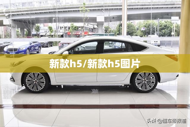 新款h5/新款h5图片