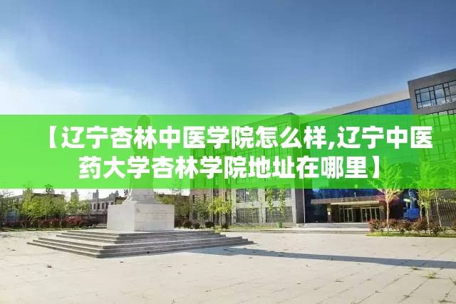 【辽宁杏林中医学院怎么样,辽宁中医药大学杏林学院地址在哪里】