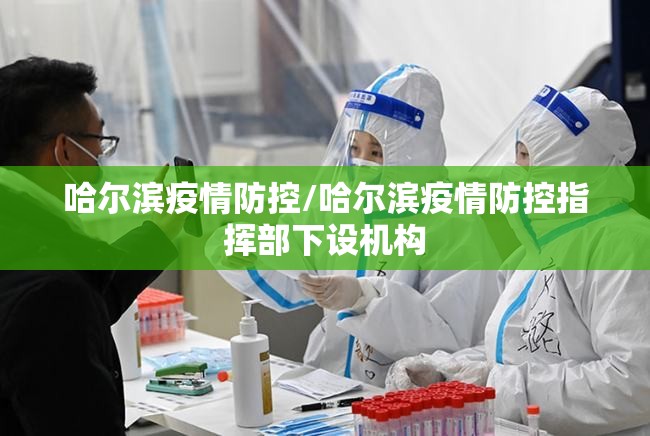 哈尔滨疫情防控/哈尔滨疫情防控指挥部下设机构 哈尔滨疫情防控/哈尔滨疫情防控指挥部下设机构