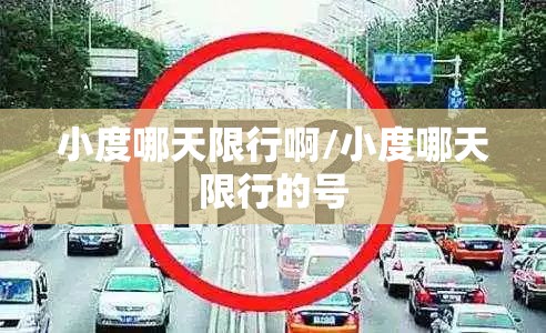 小度哪天限行啊/小度哪天限行的号