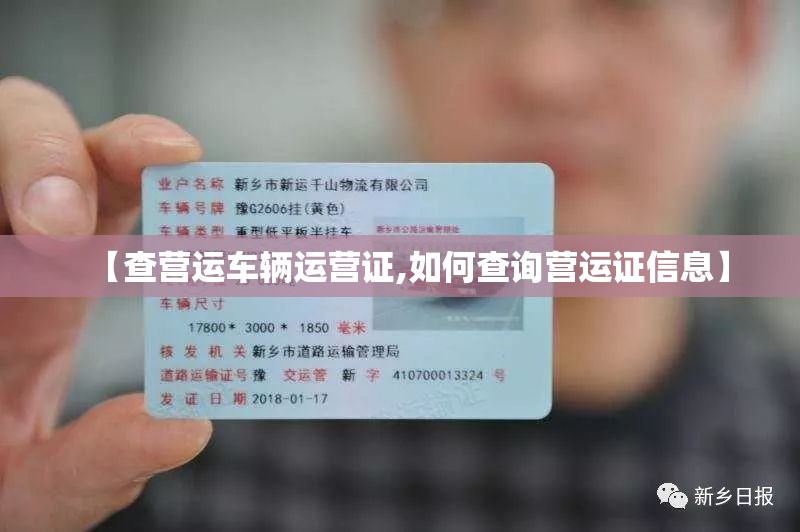 【查营运车辆运营证,如何查询营运证信息】