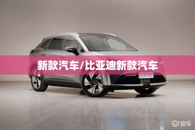 新款汽车/比亚迪新款汽车