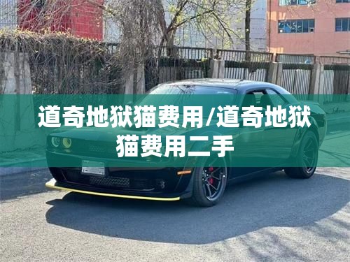 道奇地狱猫费用/道奇地狱猫费用二手