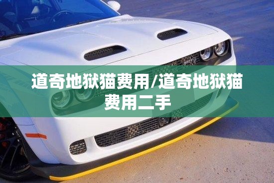 道奇地狱猫费用/道奇地狱猫费用二手