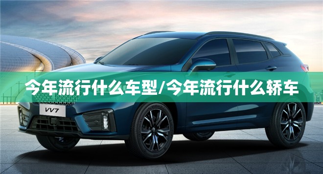今年流行什么车型/今年流行什么轿车