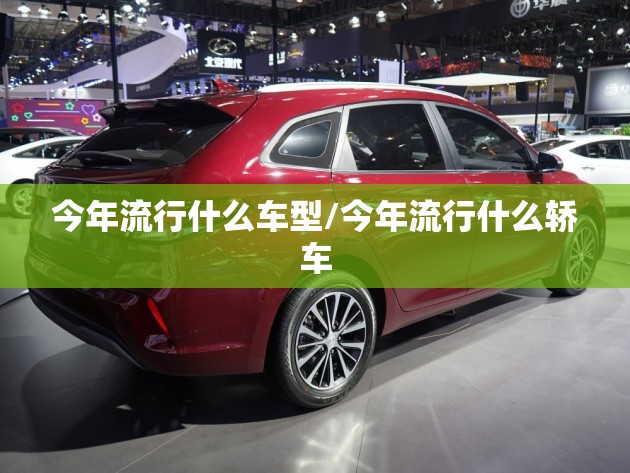 今年流行什么车型/今年流行什么轿车